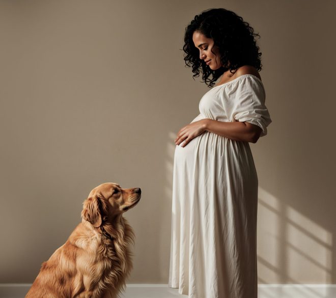 Préparer son chien à l’arrivée d’un nouveau-né